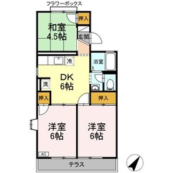 ドミール恋ヶ窪の物件間取画像